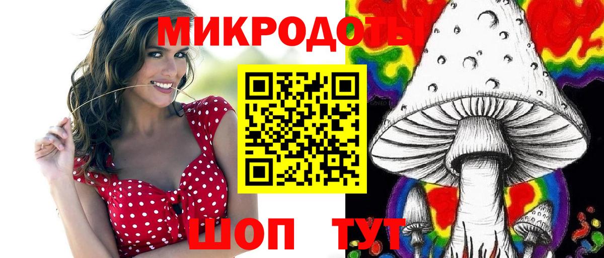 Псилоцибиновые грибы Magic Shrooms Северск