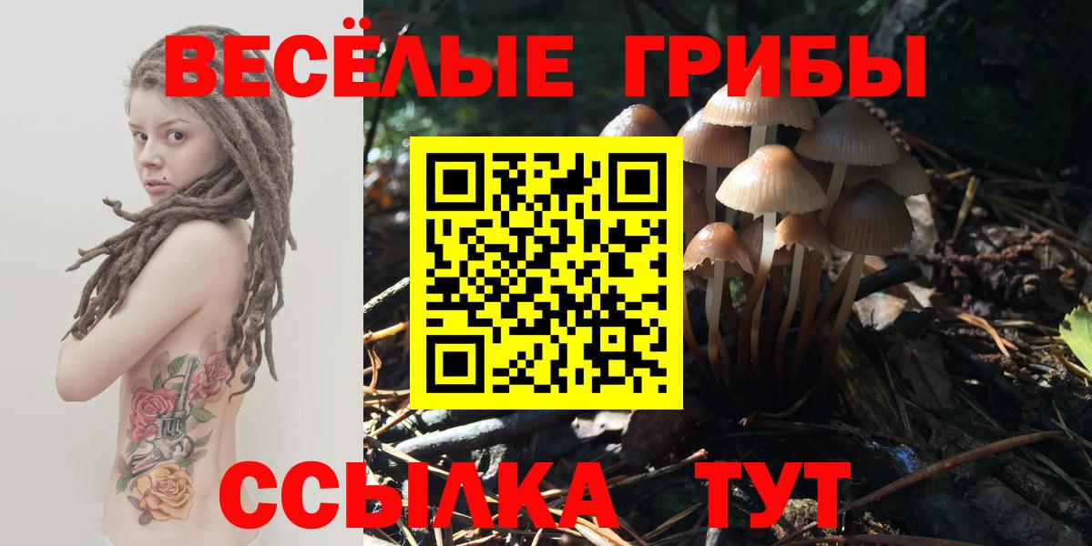 Псилоцибиновые грибы мухоморы  Вход с VPN  Галлюциногенные грибы прущие грибы  Северск 